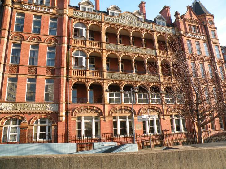  The Royal Hospital for Children and Women (Schiller International University)